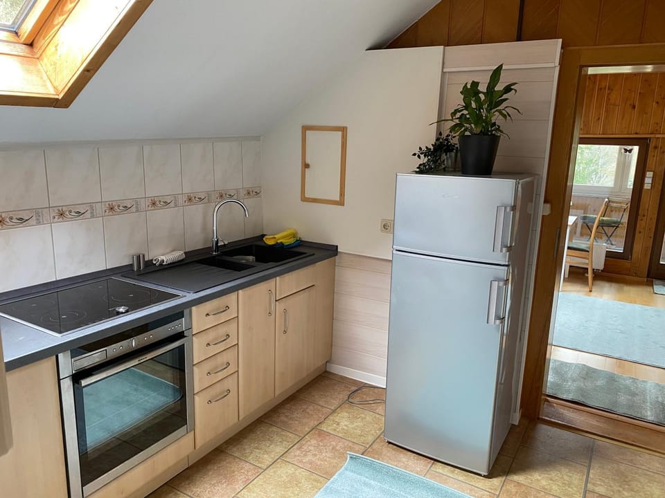 Ruhige Ferienwohnung Dreihansen Apartment in Erzgebirgskreis