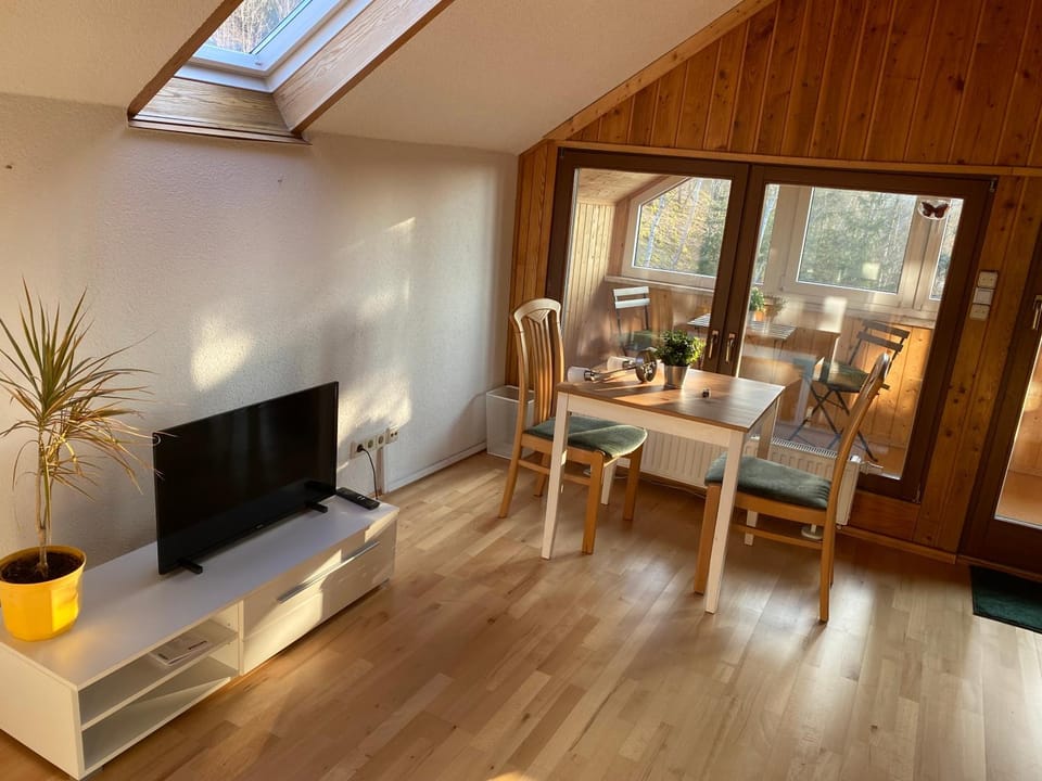 Ruhige Ferienwohnung Dreihansen Apartment in Erzgebirgskreis