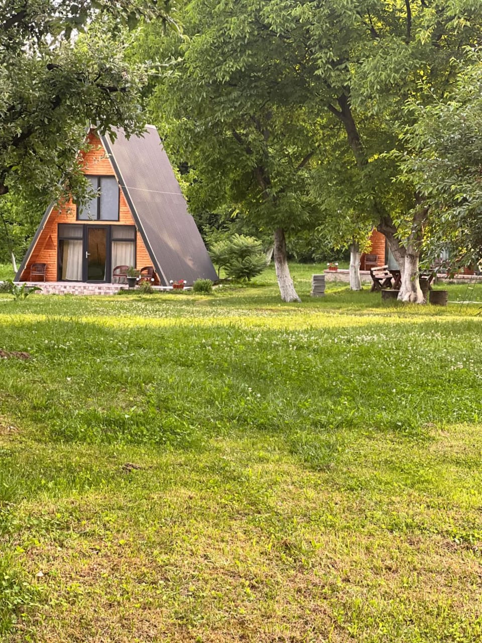 The Frog Glamping Campground/ 
RV Resort in Romania