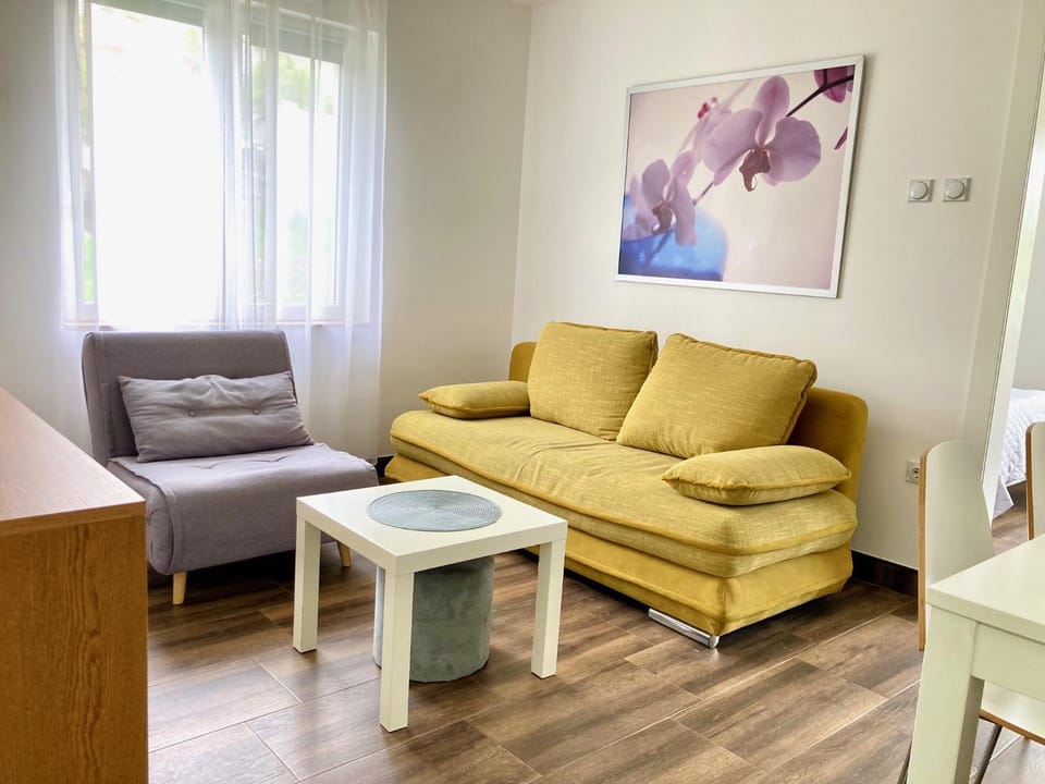 Apartman Zak Sokobanja Apartment in Serbia