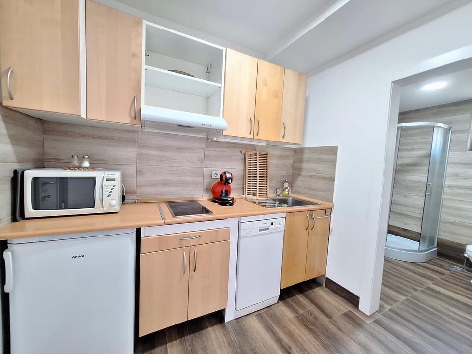Apartman Zak Sokobanja Apartment in Serbia