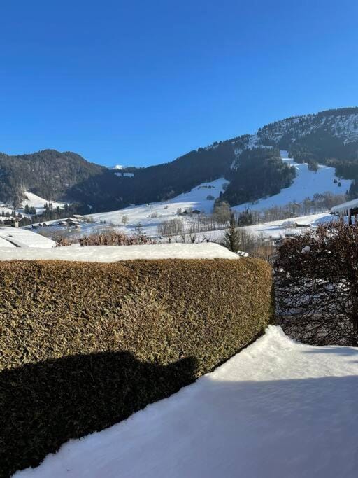 Charmant studio + jardin vue pistes et local velo Apartment in Haute-Savoie