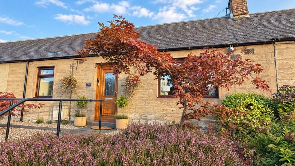 Property building, Spring, Day, Garden