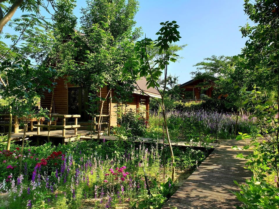 Property building, Day, Garden, Balcony/Terrace