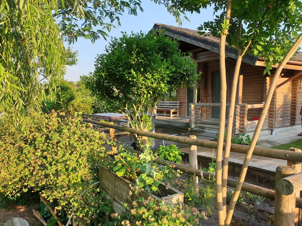 Property building, Balcony/Terrace
