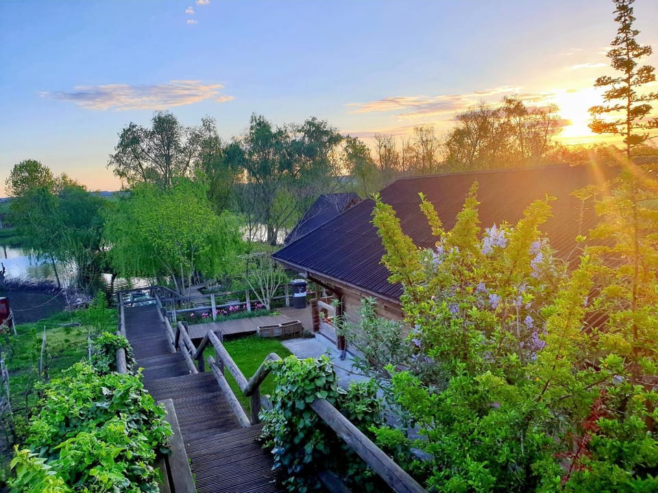 Natural landscape, Garden, Garden view, Sunrise