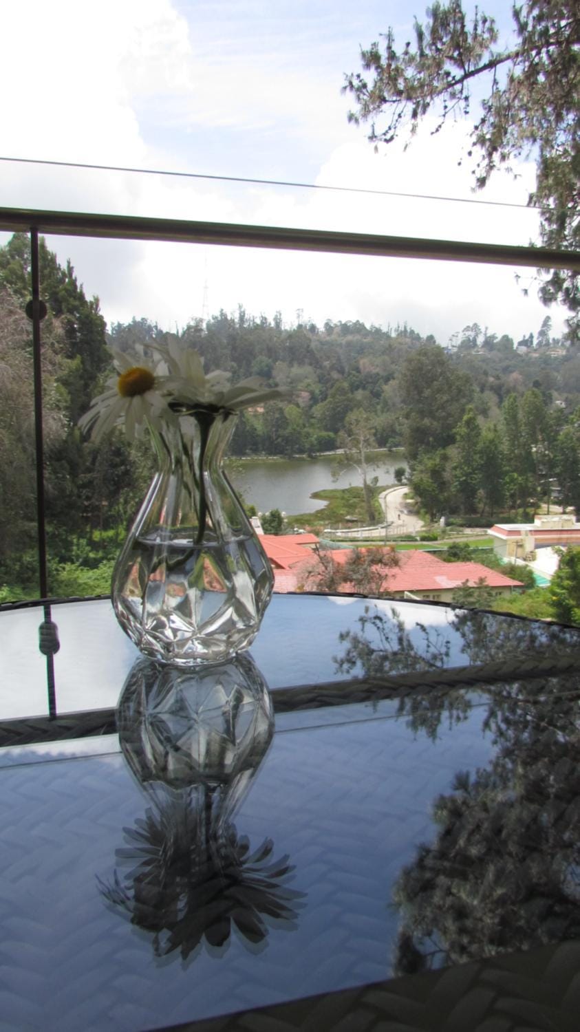 View (from property/room), Balcony/Terrace