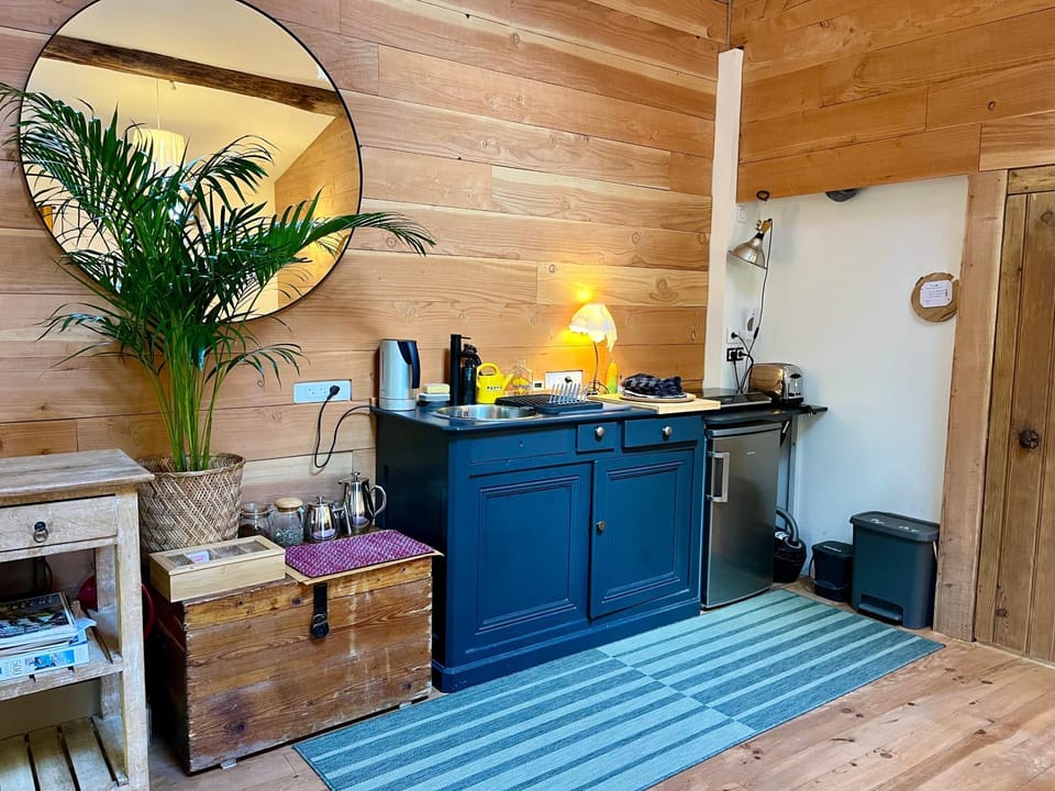 Coffee/tea facilities, Kitchen or kitchenette, stove