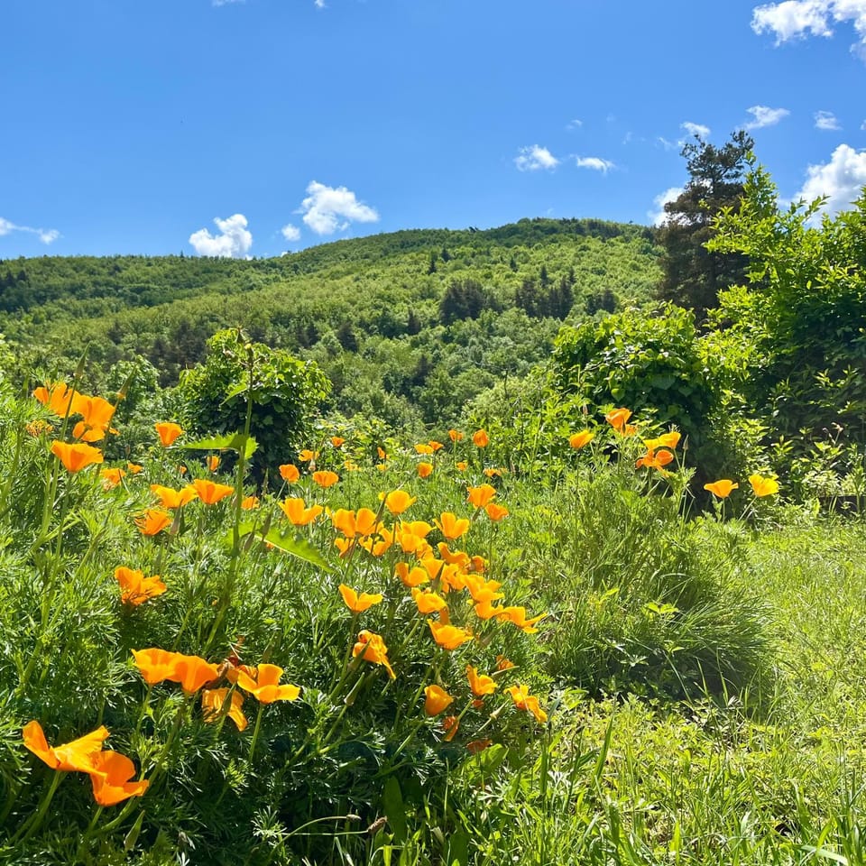 Natural landscape, Mountain view