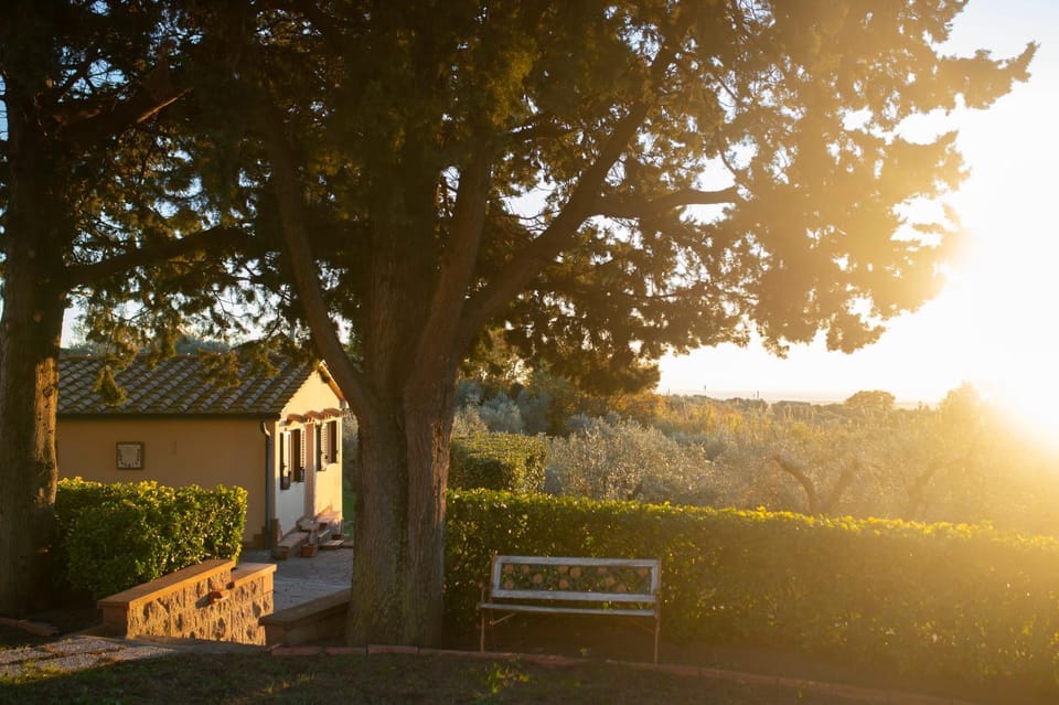 Property building, Garden, Garden view
