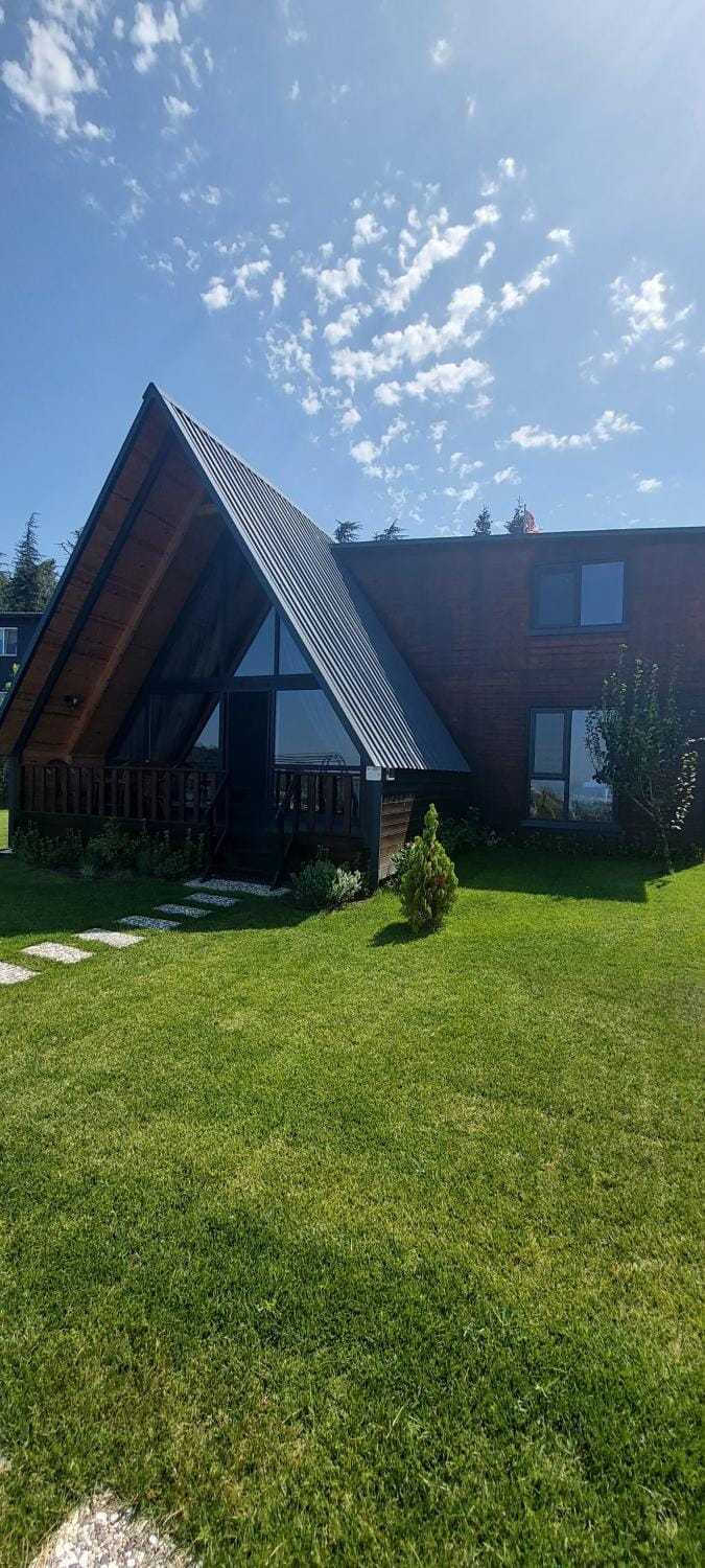 Property building, Garden, Garden view