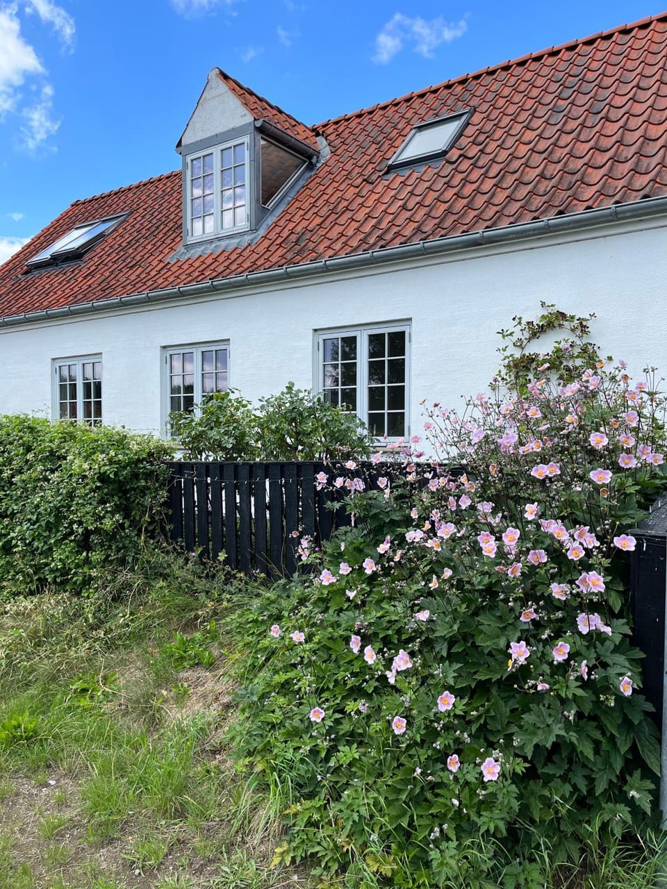 Property building, Garden view