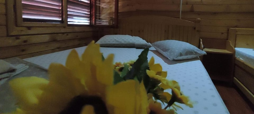 La Tavi casute tip camping Bed and Breakfast in Romania