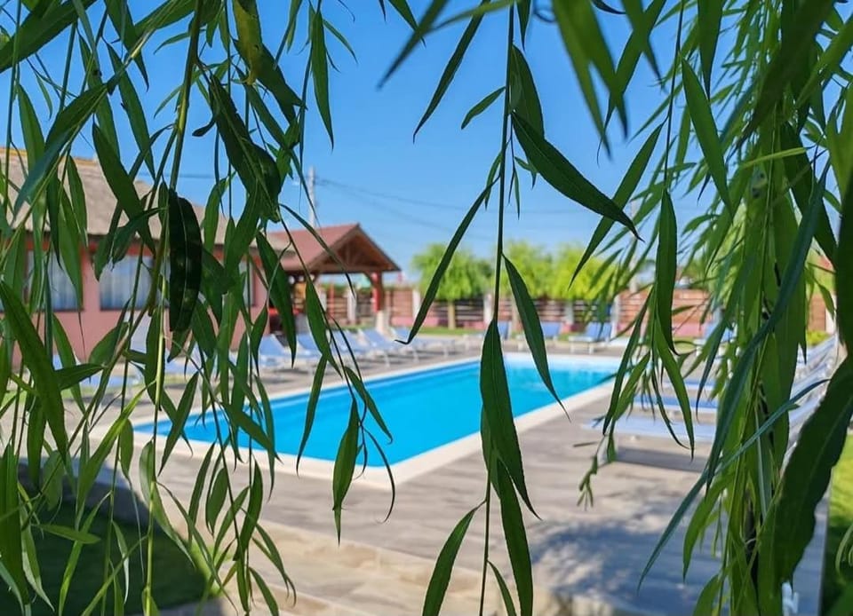 La Tavi casute tip camping Bed and Breakfast in Romania