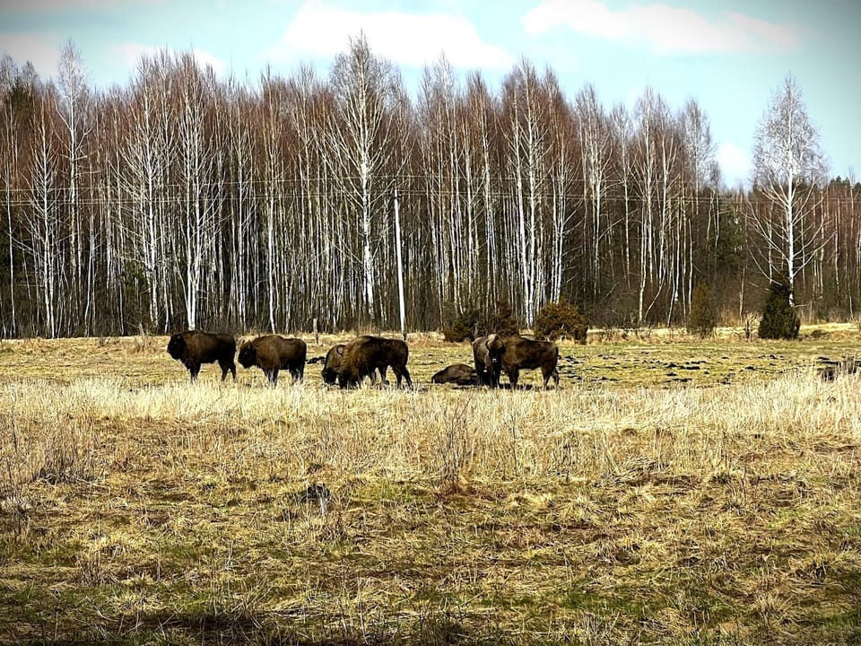 Natural landscape