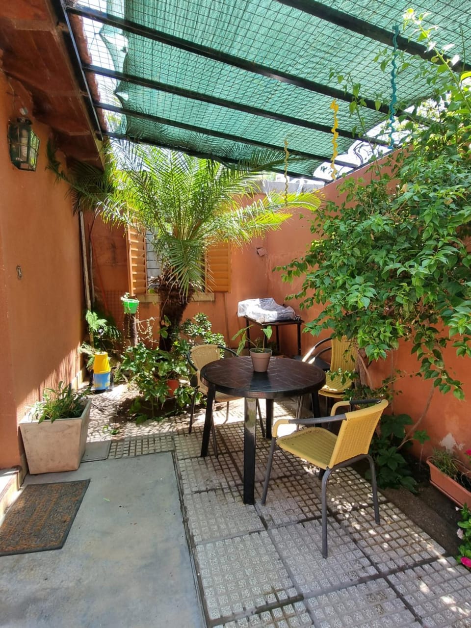 Patio, Garden, Garden view