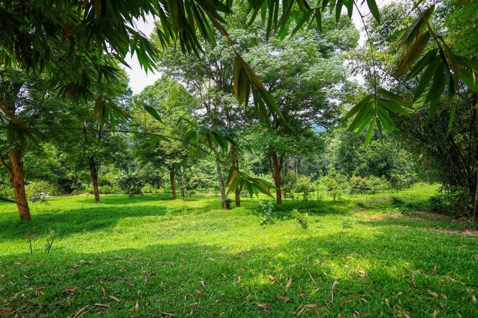 Bamboo Grove Bed and Breakfast in Kerala