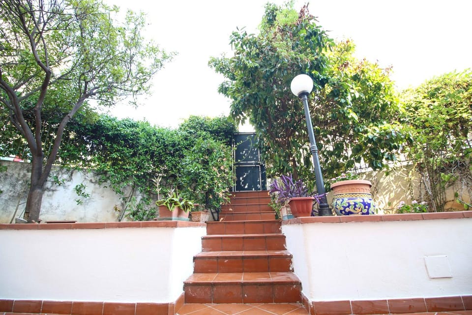 Facade/entrance, Garden