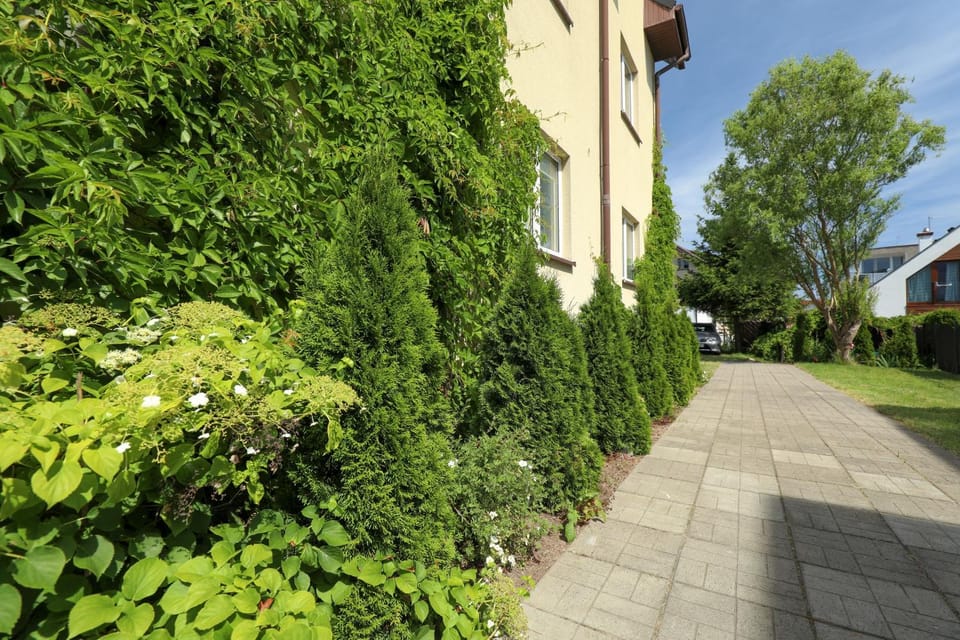 Property building, Garden