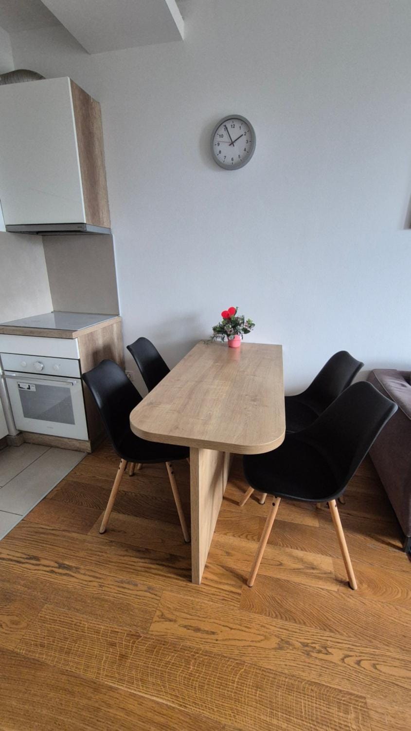 Skyline Apartment in Belgrade