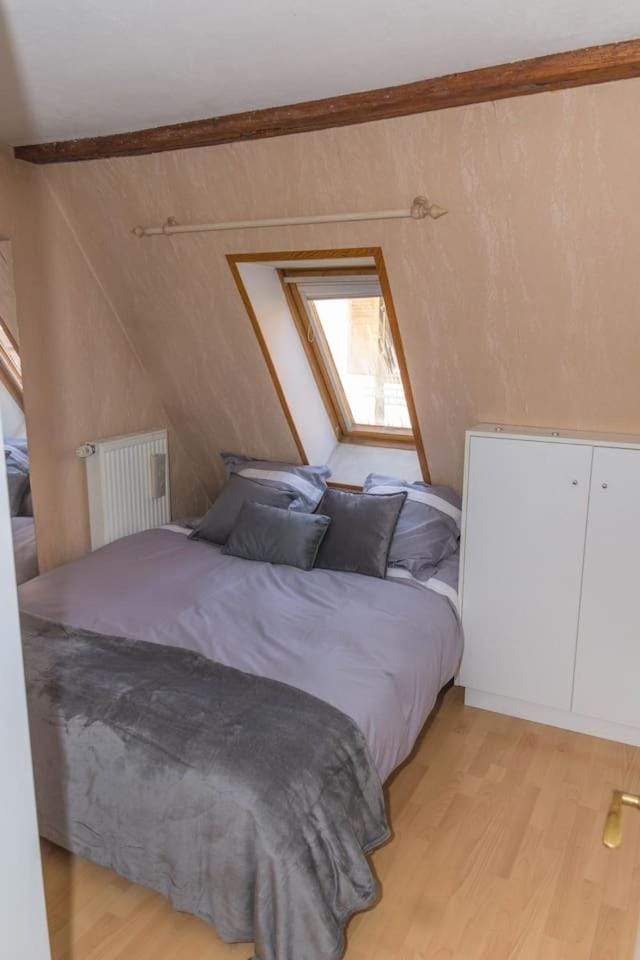 charmant appartement alsacien Apartment in Ribeauvillé