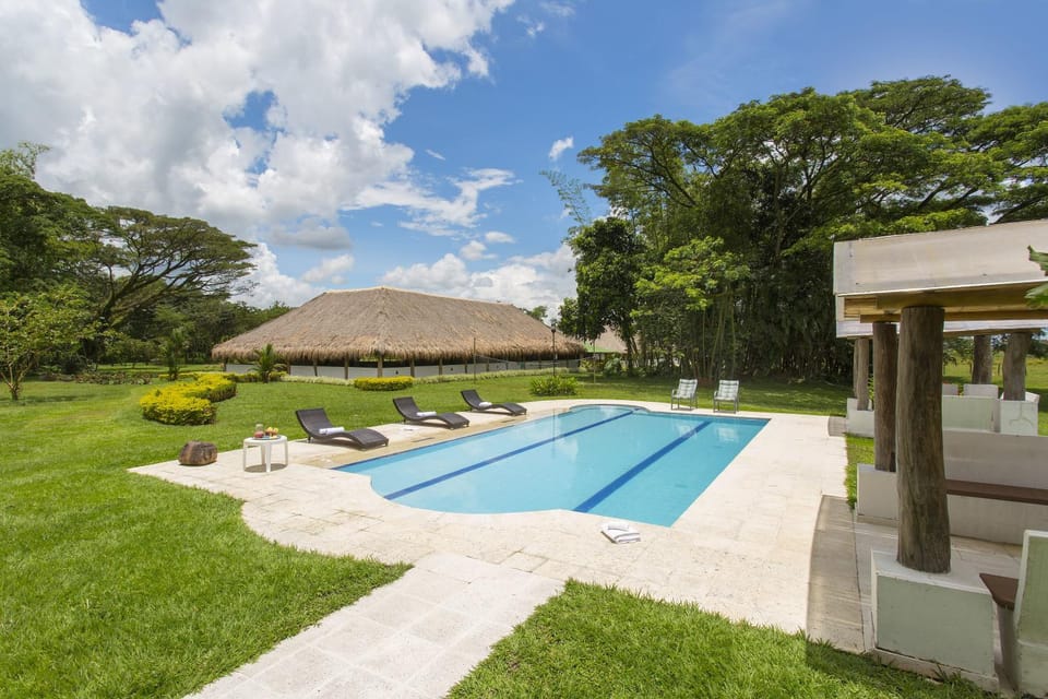 Swimming pool, Swimming pool
