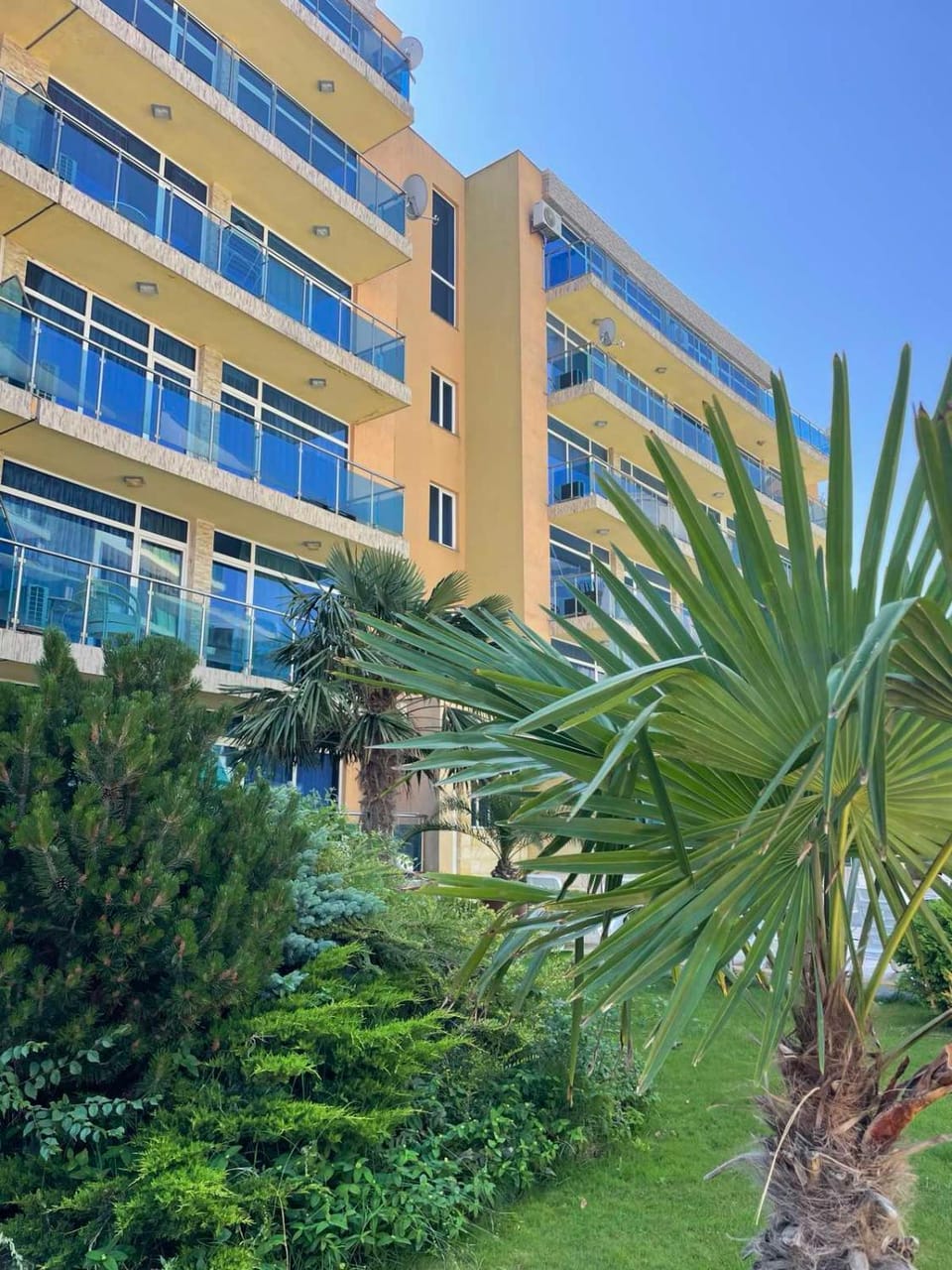 Property building, Day, Garden