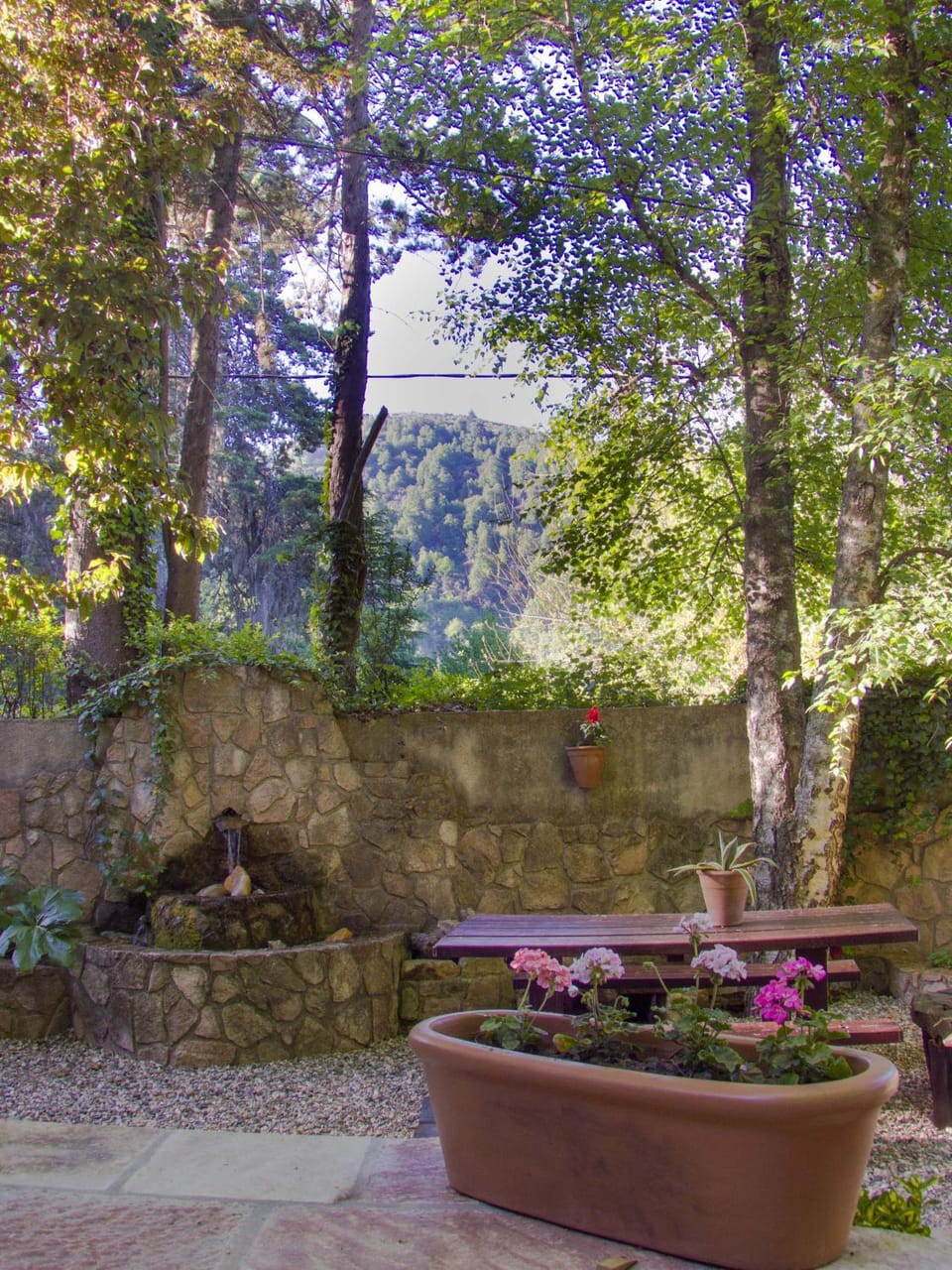 Natural landscape, Garden view, Mountain view