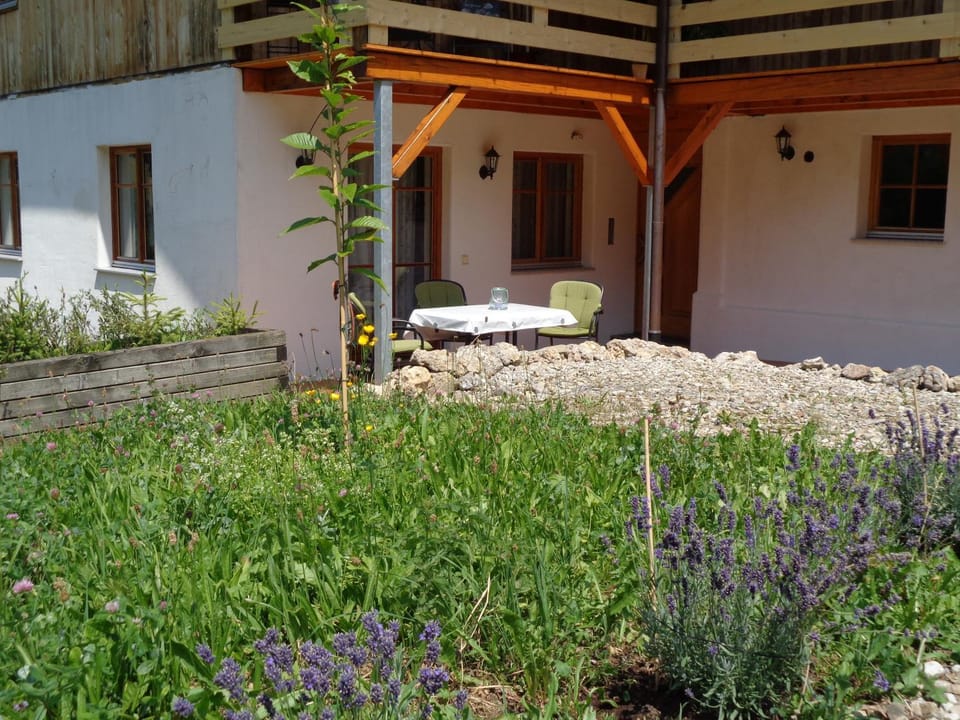 Garden view