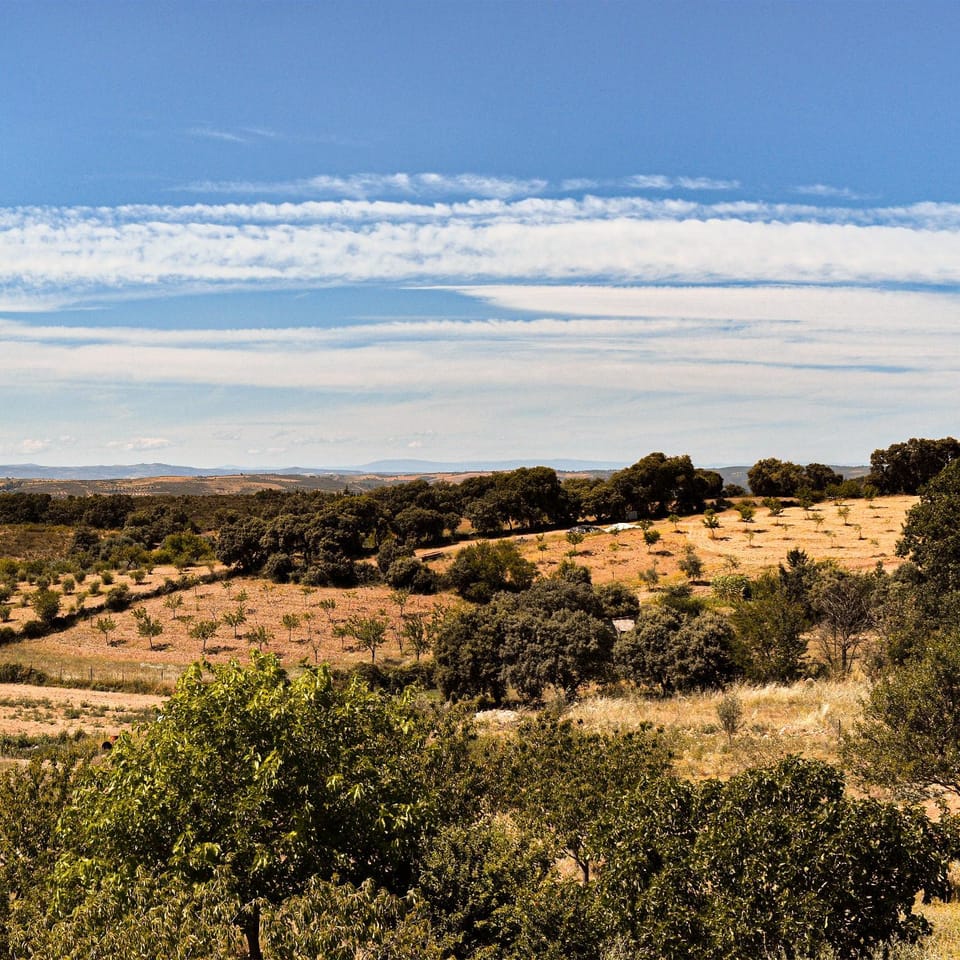 Natural landscape
