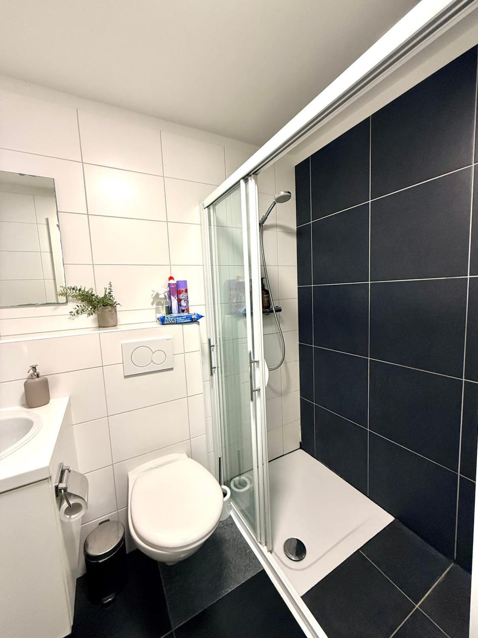 Heart of Grand Place Beautiful Studio Apartment in Brussels