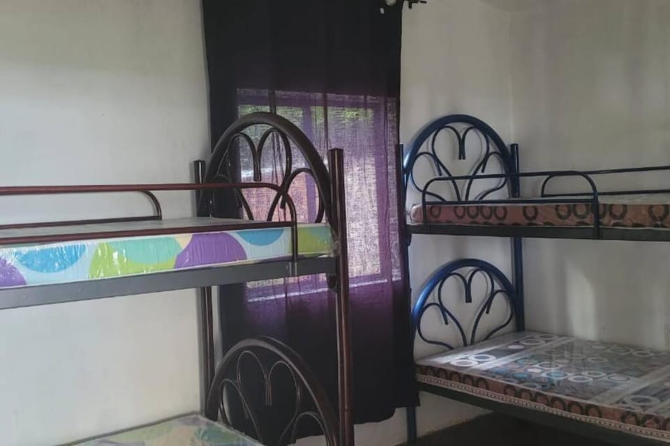 bunk bed