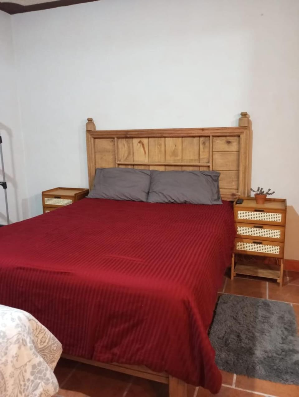 Casa Macetas Vacation rental in San Miguel de Allende