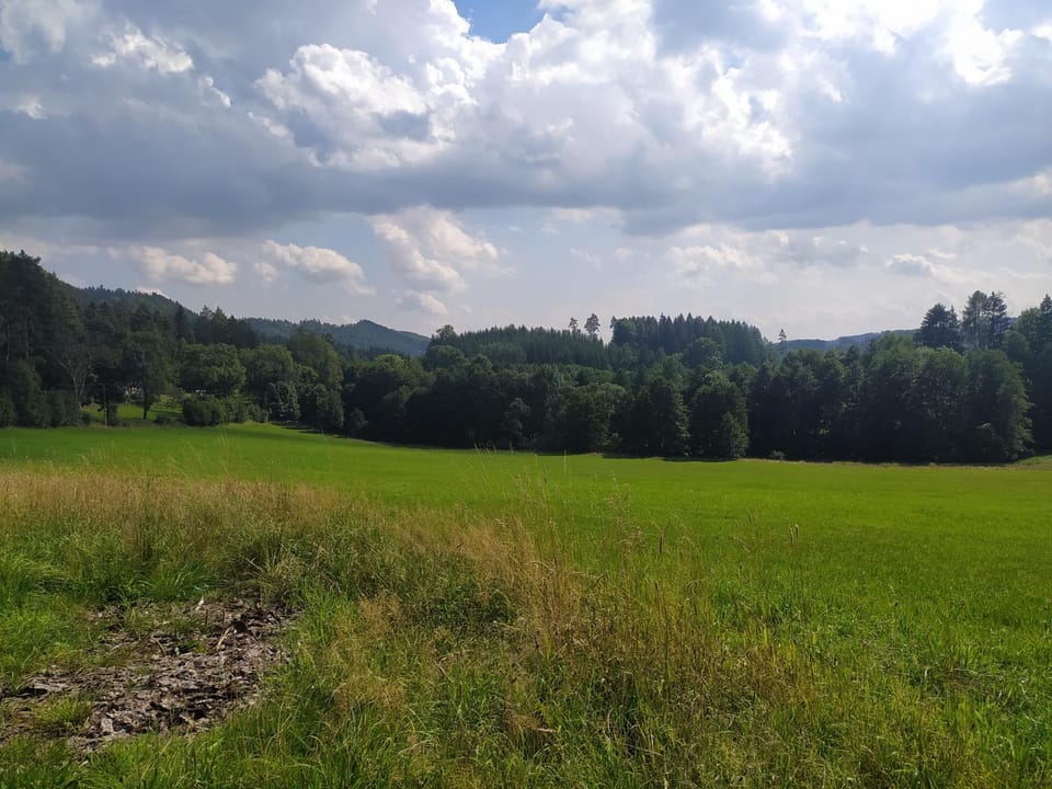 Natural landscape
