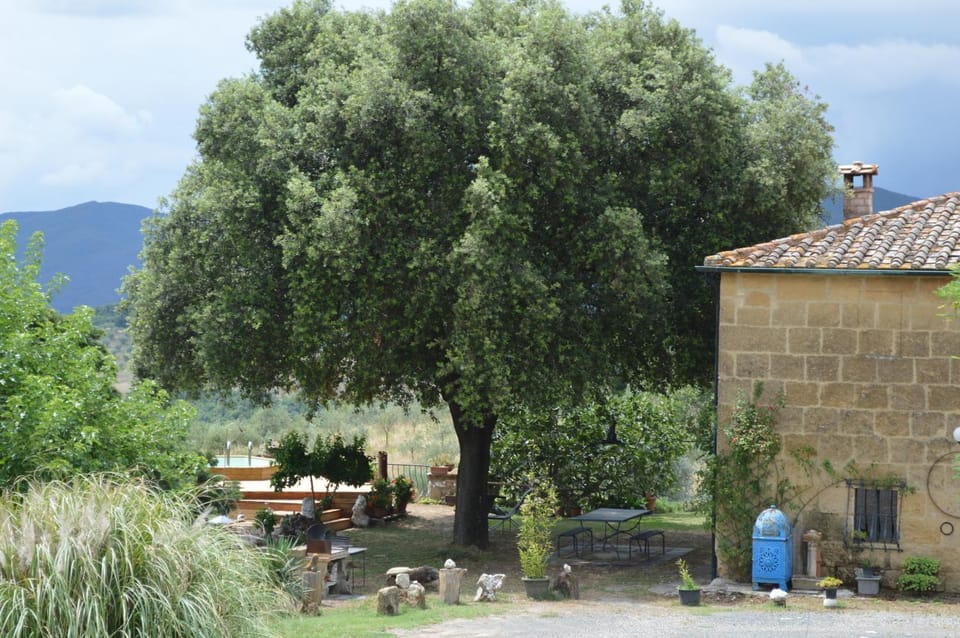 Facade/entrance, Garden