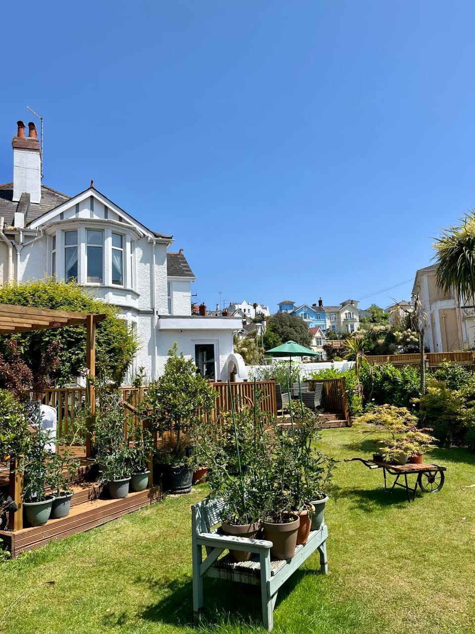 Garden