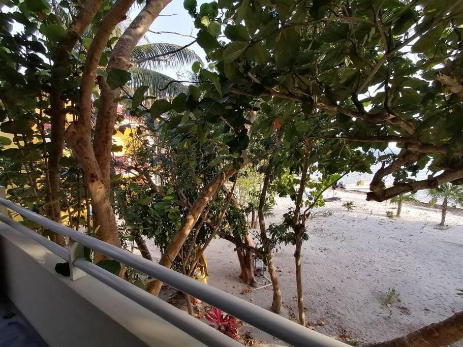 Marysol beachfront next to nomads d4 Apartment in Isla Mujeres