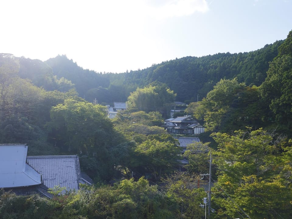 Natural landscape
