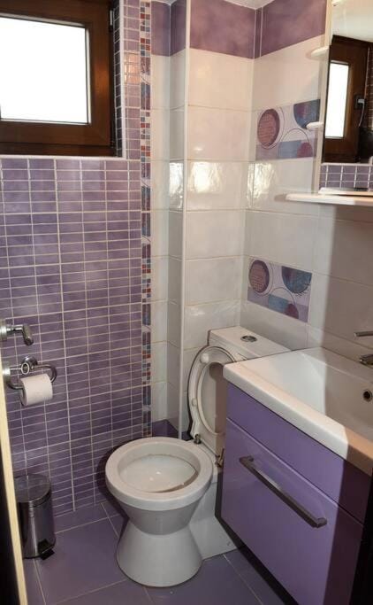 Toilet, Bathroom
