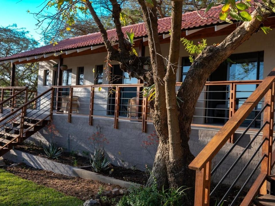 Property building, Garden view