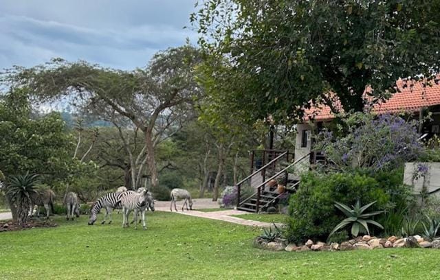 Khululeka Safaris Lodge Nature lodge in South Africa
