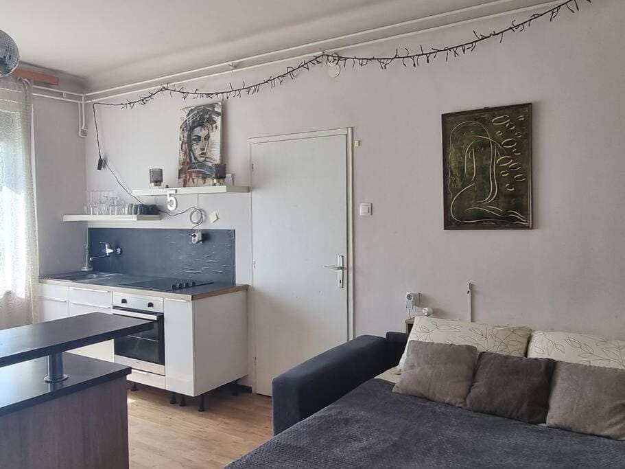 Cosy 2 room apartment with nice vibe, for up to 4 Apartment in Ljubljana