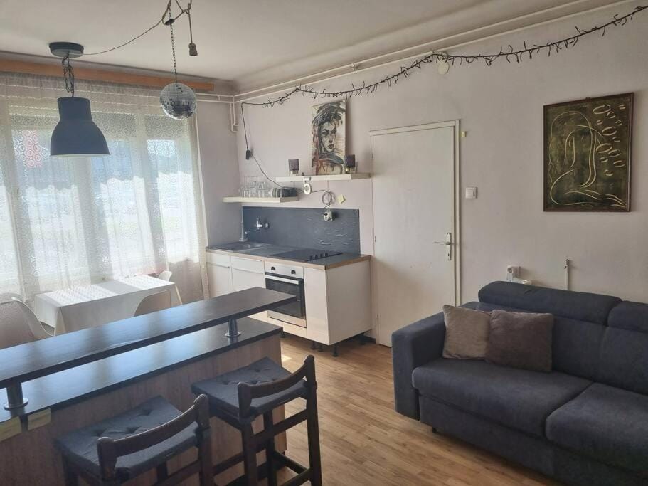 Cosy 2 room apartment with nice vibe, for up to 4 Apartment in Ljubljana