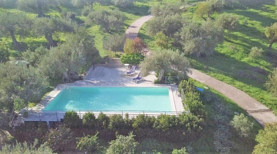Swimming pool, Swimming pool