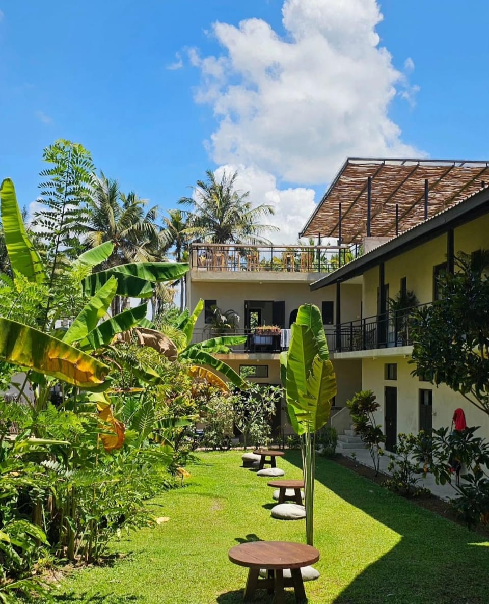 Garden, Garden view, Garden view