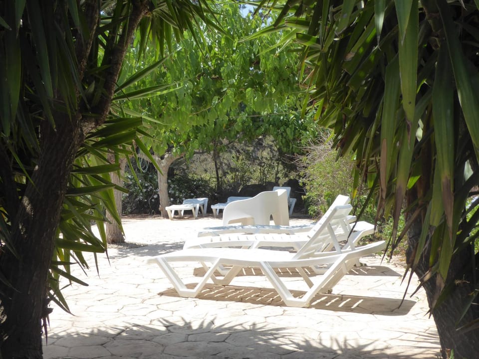 Mas Blauet - Finca with 2 holiday houses and shared pool House in Baix Ebre