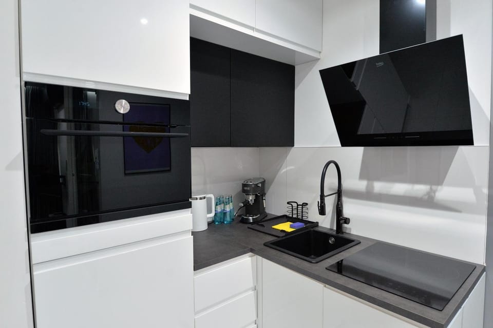 Kitchen or kitchenette, minibar, pet friendly, stove
