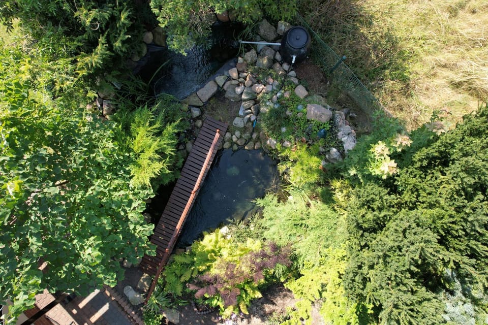 Bird's eye view, Garden view