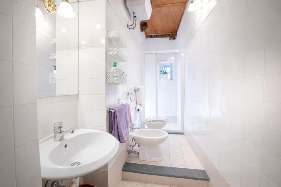 Shower, Toilet, Bathroom, Bath, towels
