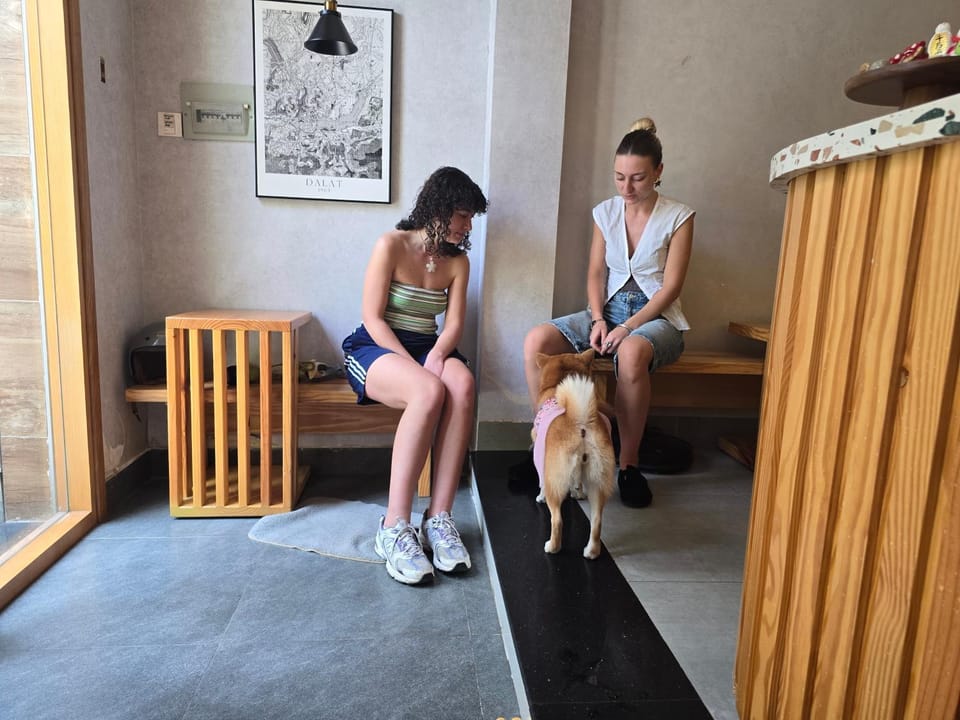Pets